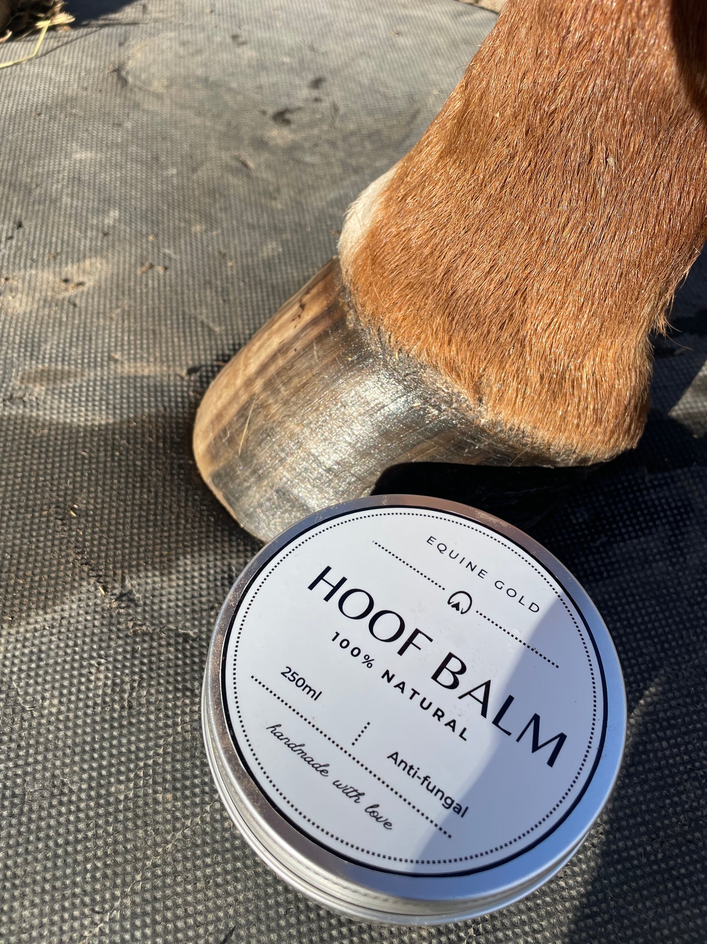 Equine Gold Hoof Balm