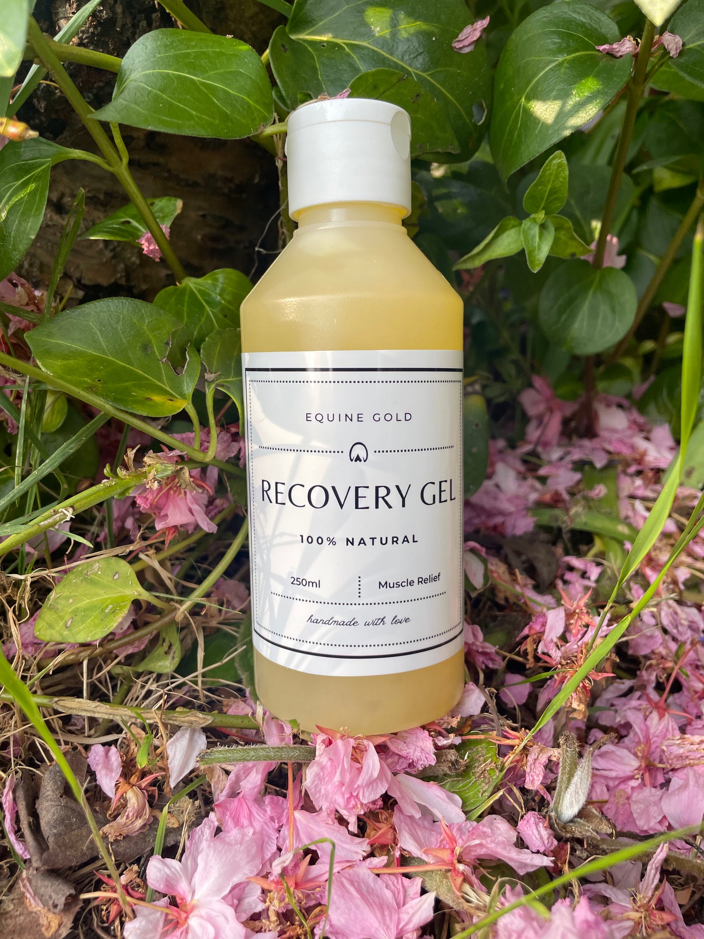 Equine Gold Recovery Gel