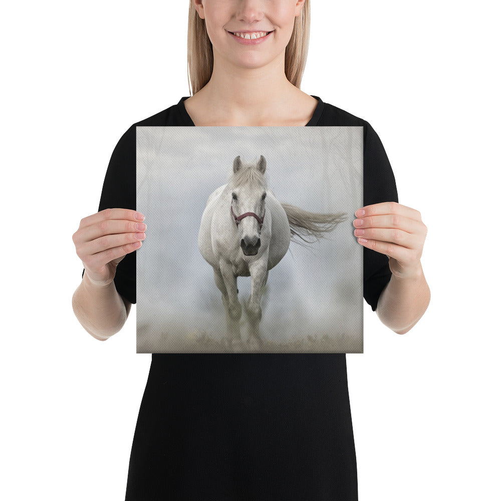 Grey Horse Canvas