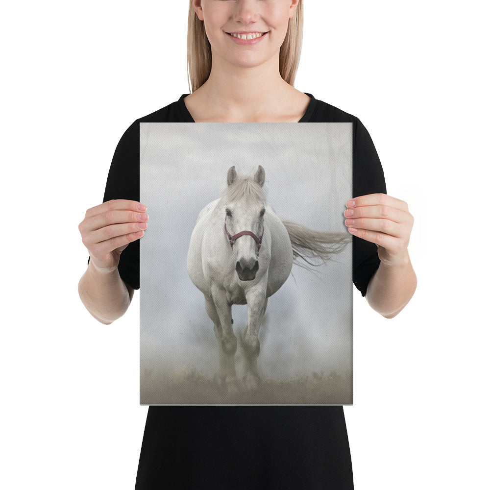 Grey Horse Canvas