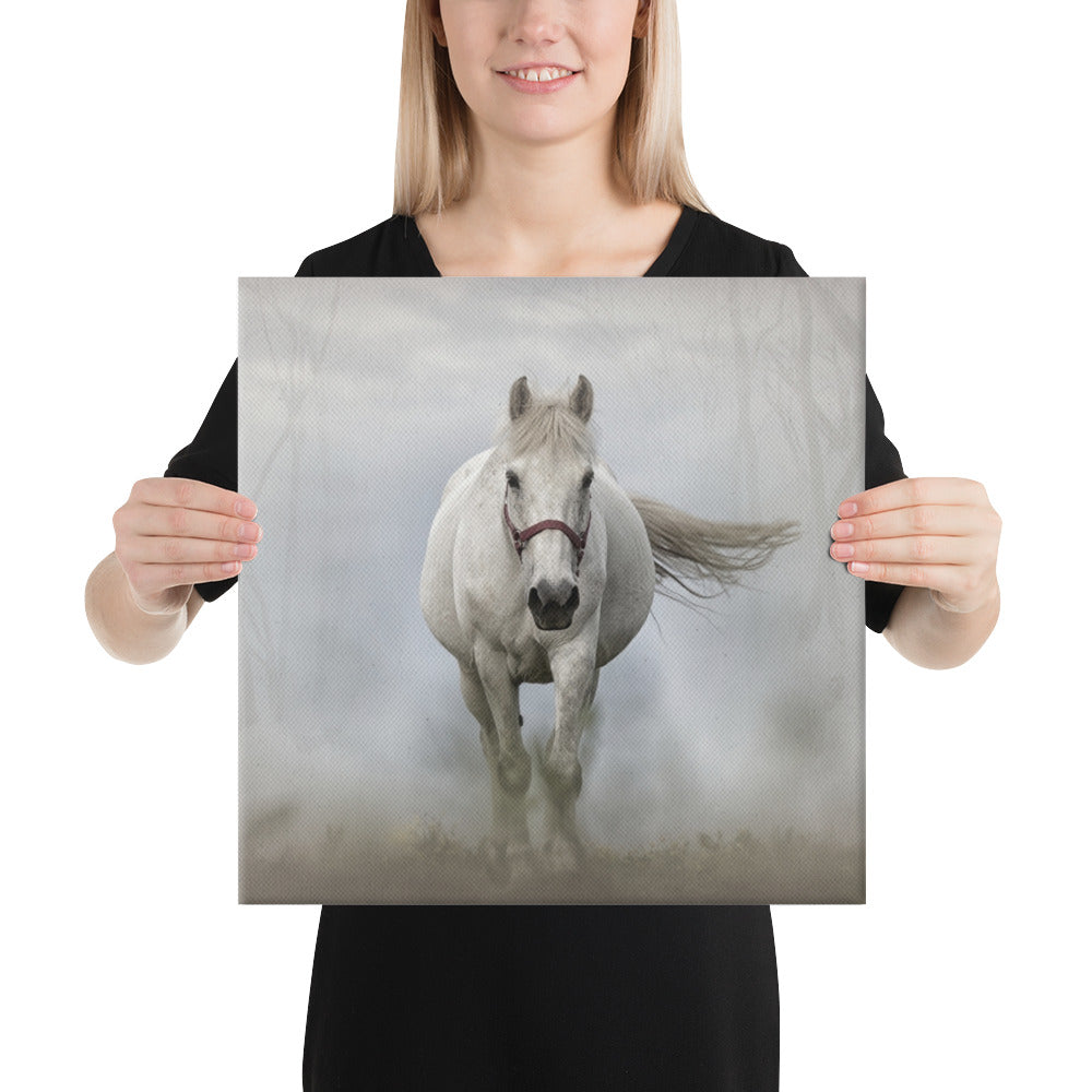 Grey Horse Canvas