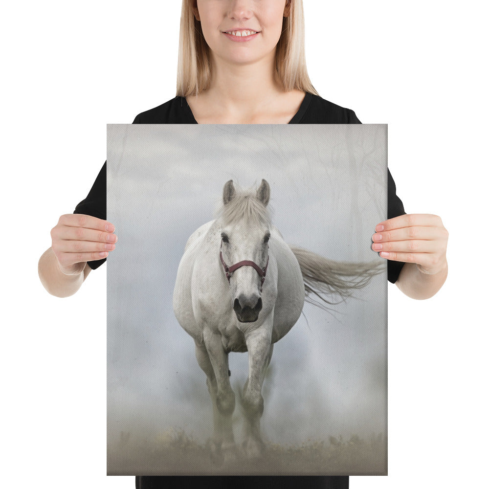 Grey Horse Canvas