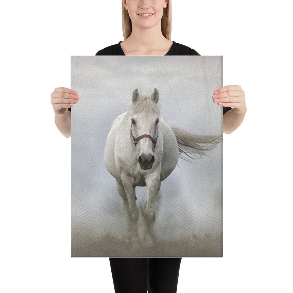 Grey Horse Canvas