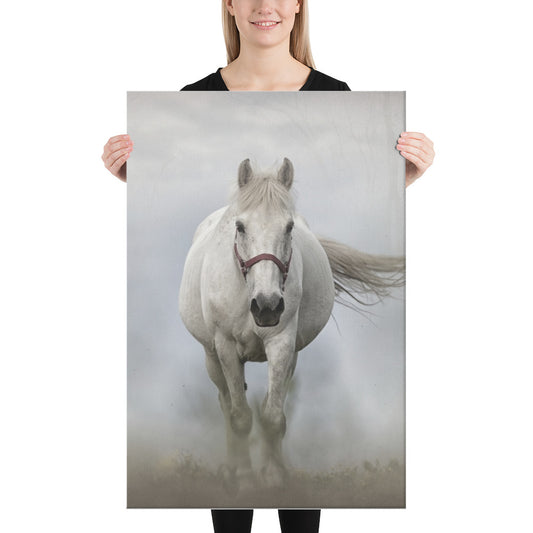 Grey Horse Canvas