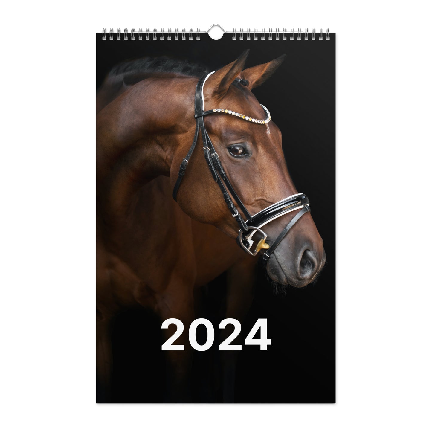 Beautiful Horse Wall calendar (2024)