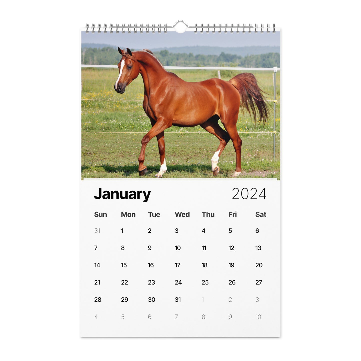 Beautiful Horse Wall calendar (2024)