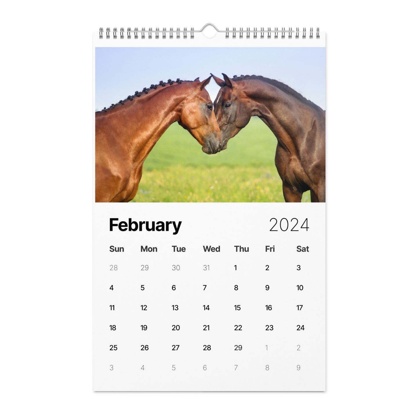 Beautiful Horse Wall calendar (2024)