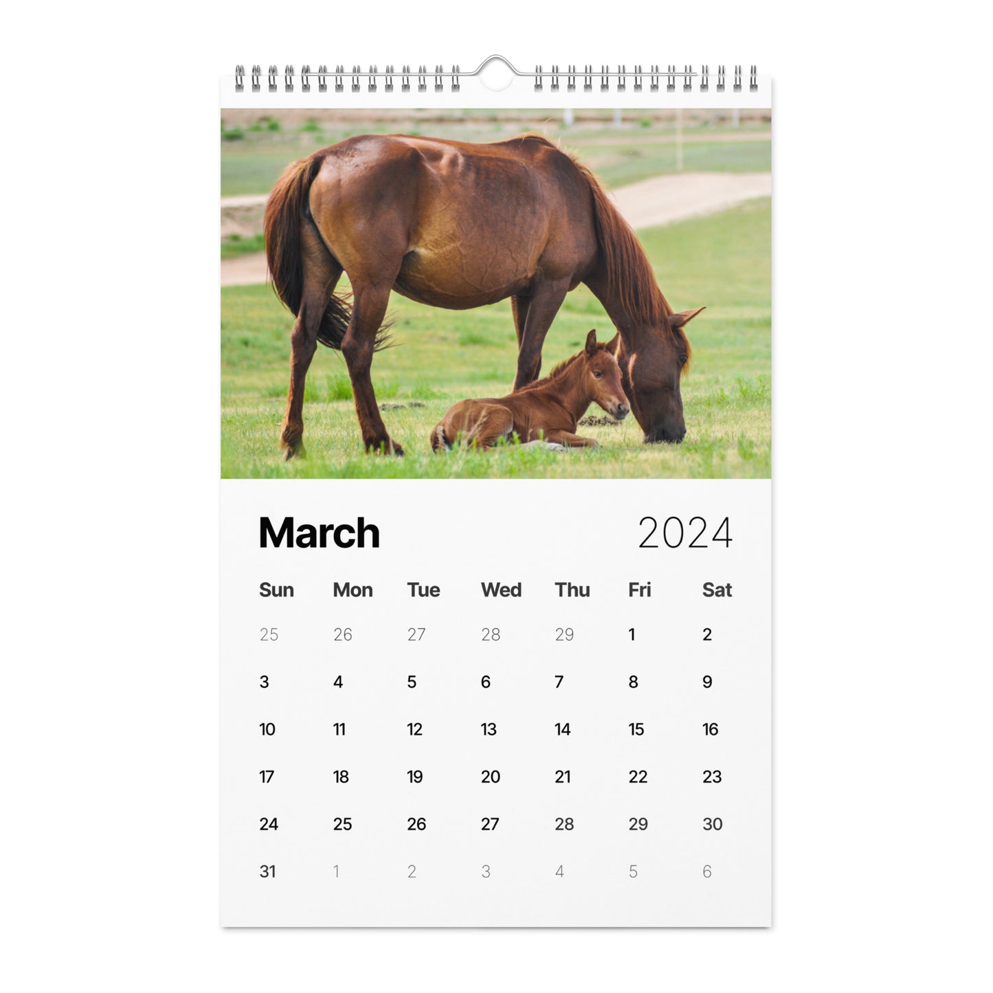 Beautiful Horse Wall calendar (2024)