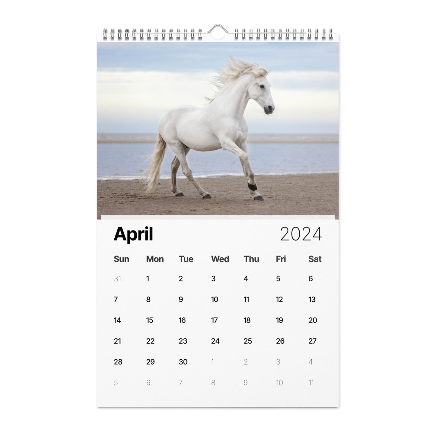 Beautiful Horse Wall calendar (2024)