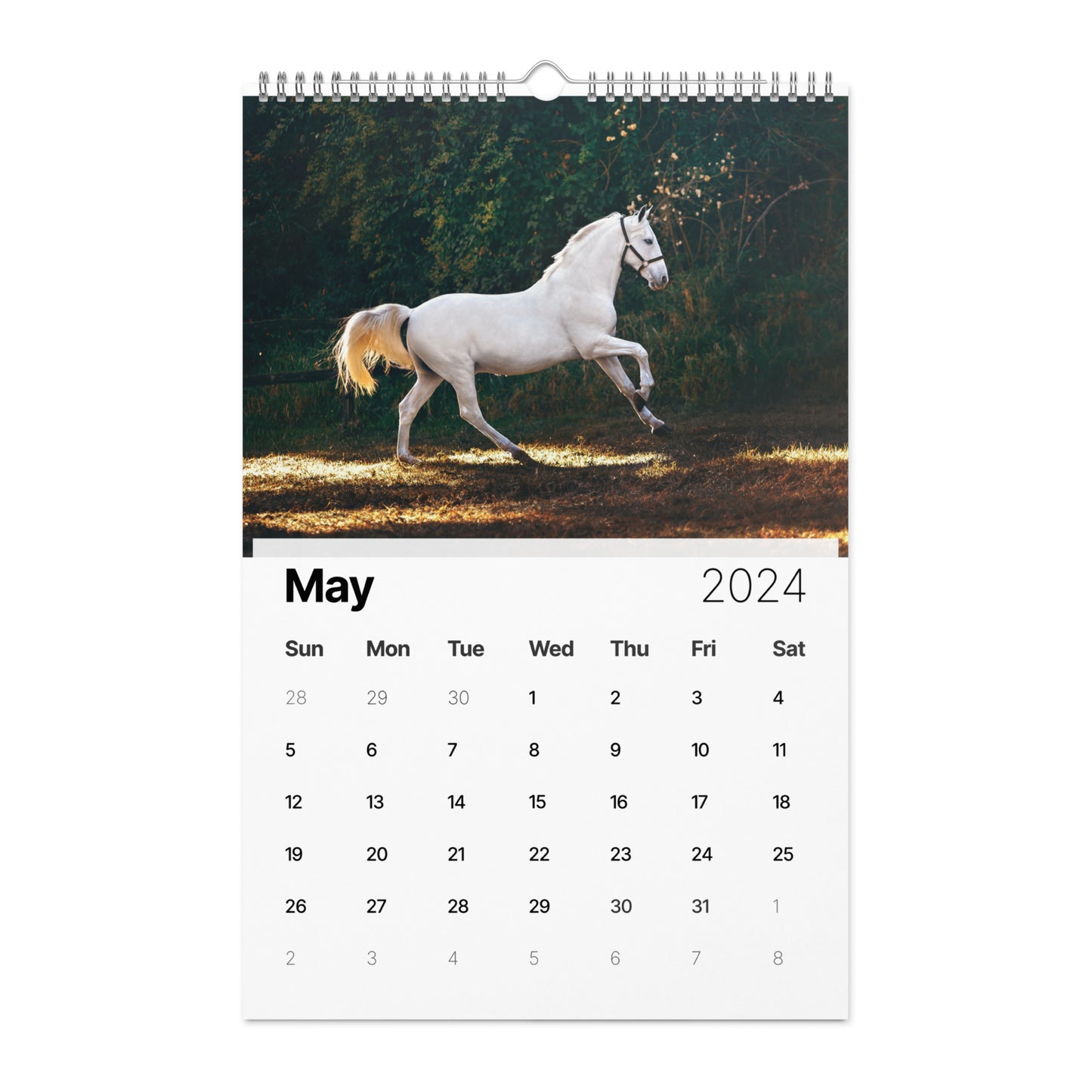 Beautiful Horse Wall calendar (2024)