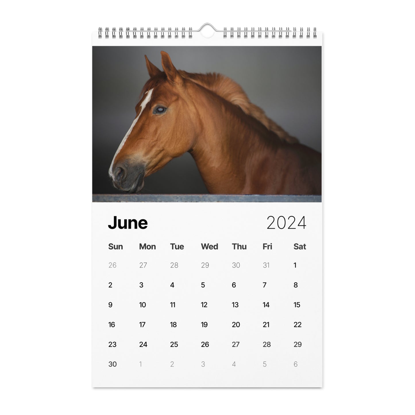 Beautiful Horse Wall calendar (2024)