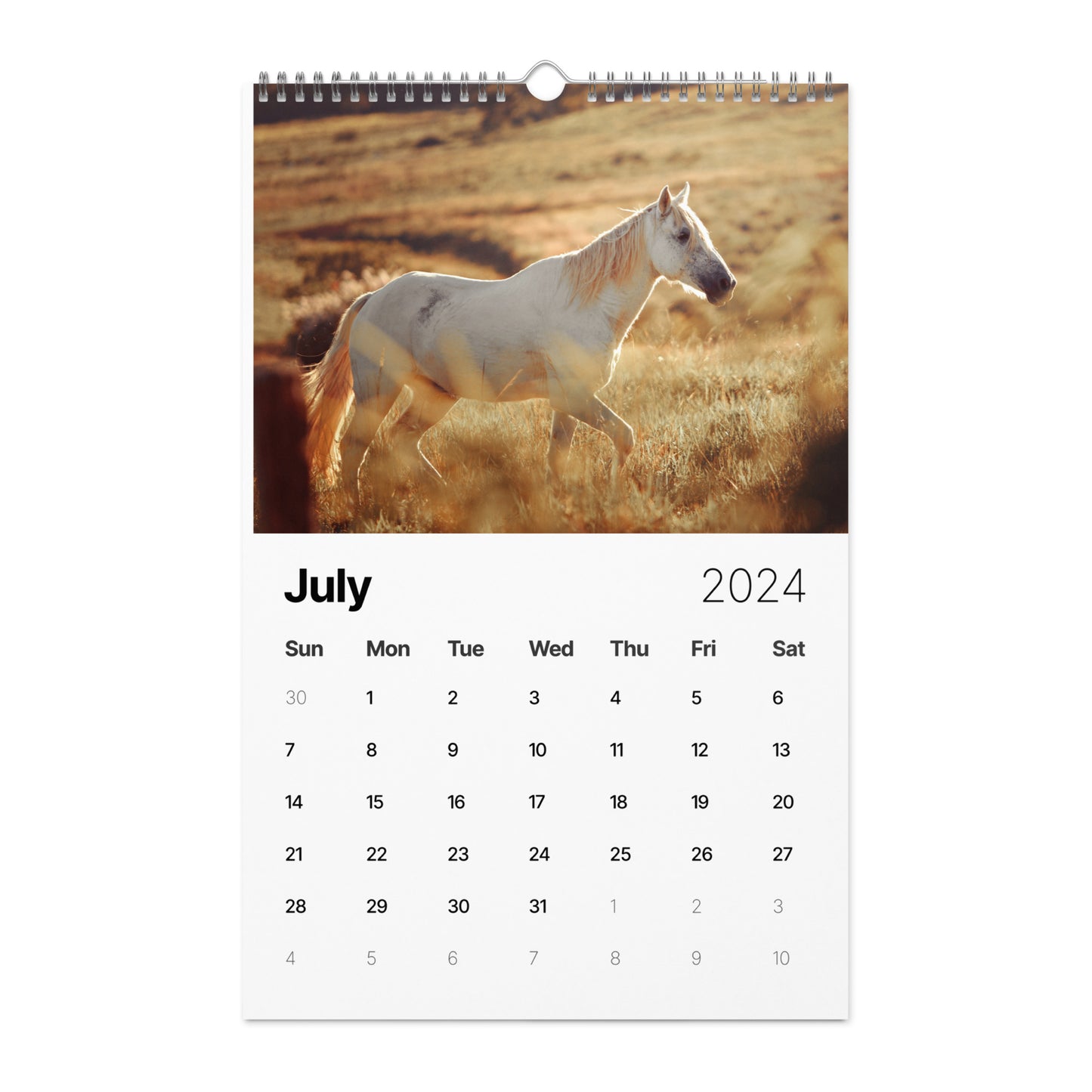 Beautiful Horse Wall calendar (2024)