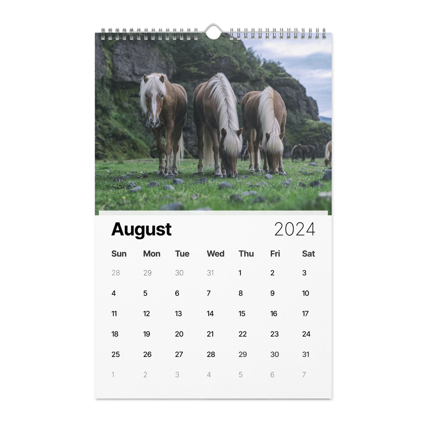 Beautiful Horse Wall calendar (2024)