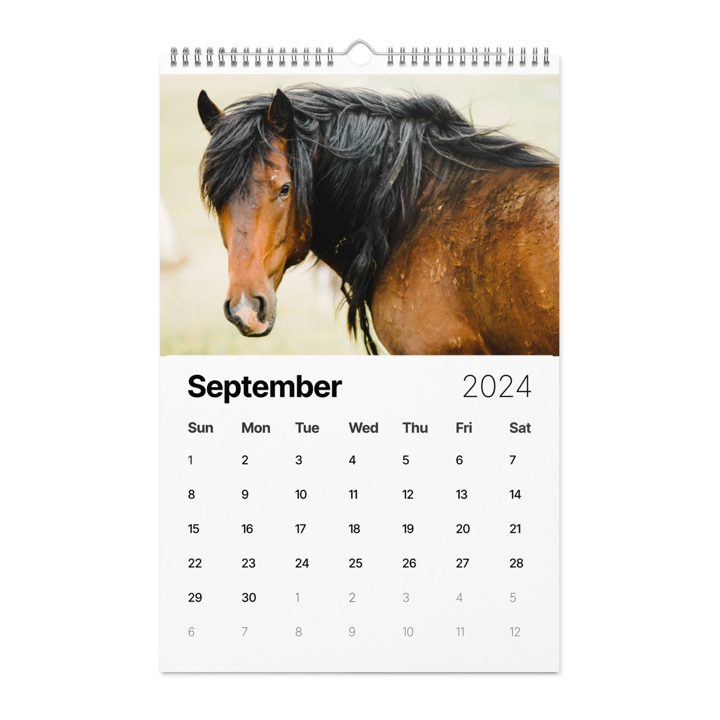 Beautiful Horse Wall calendar (2024)