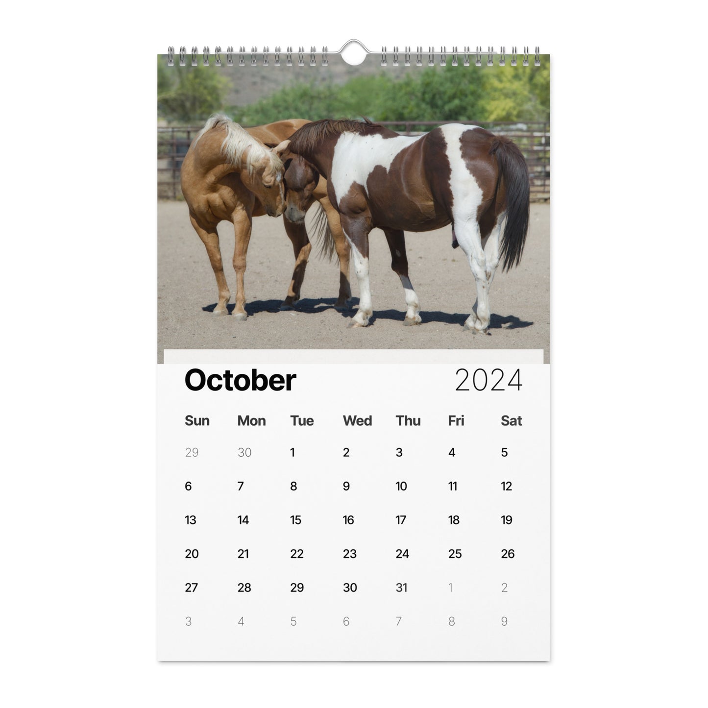 Beautiful Horse Wall calendar (2024)