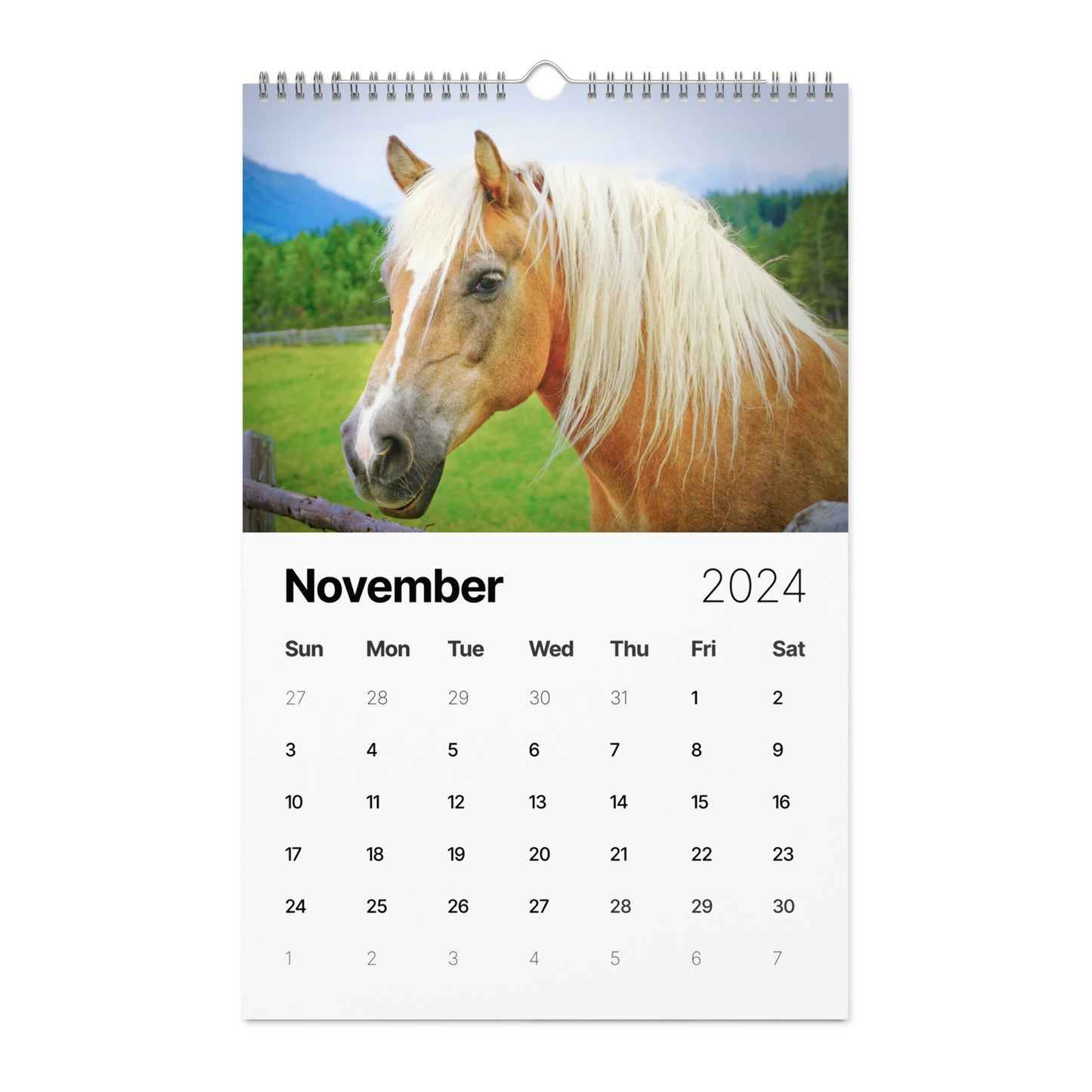 Beautiful Horse Wall calendar (2024)