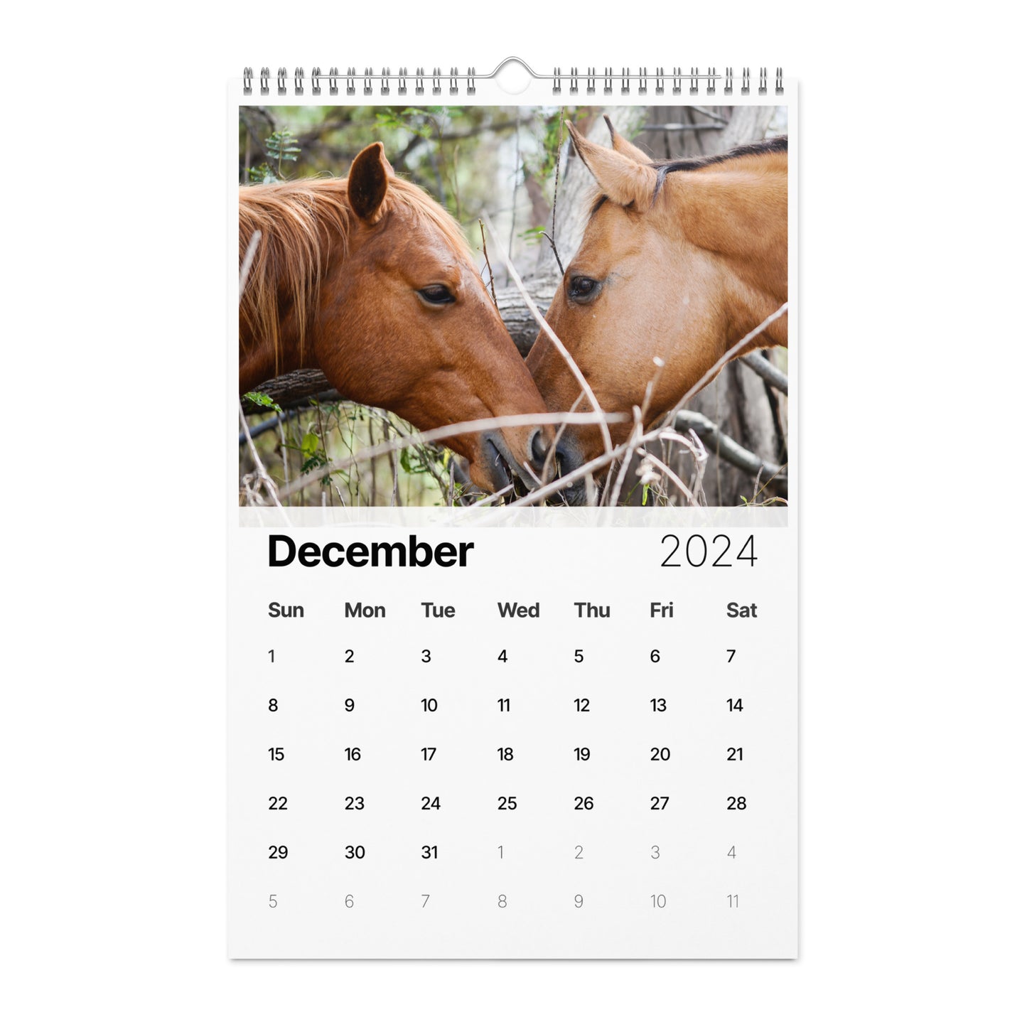 Beautiful Horse Wall calendar (2024)