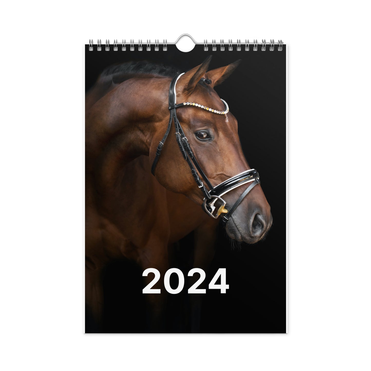 Beautiful Horse Wall calendar (2024)