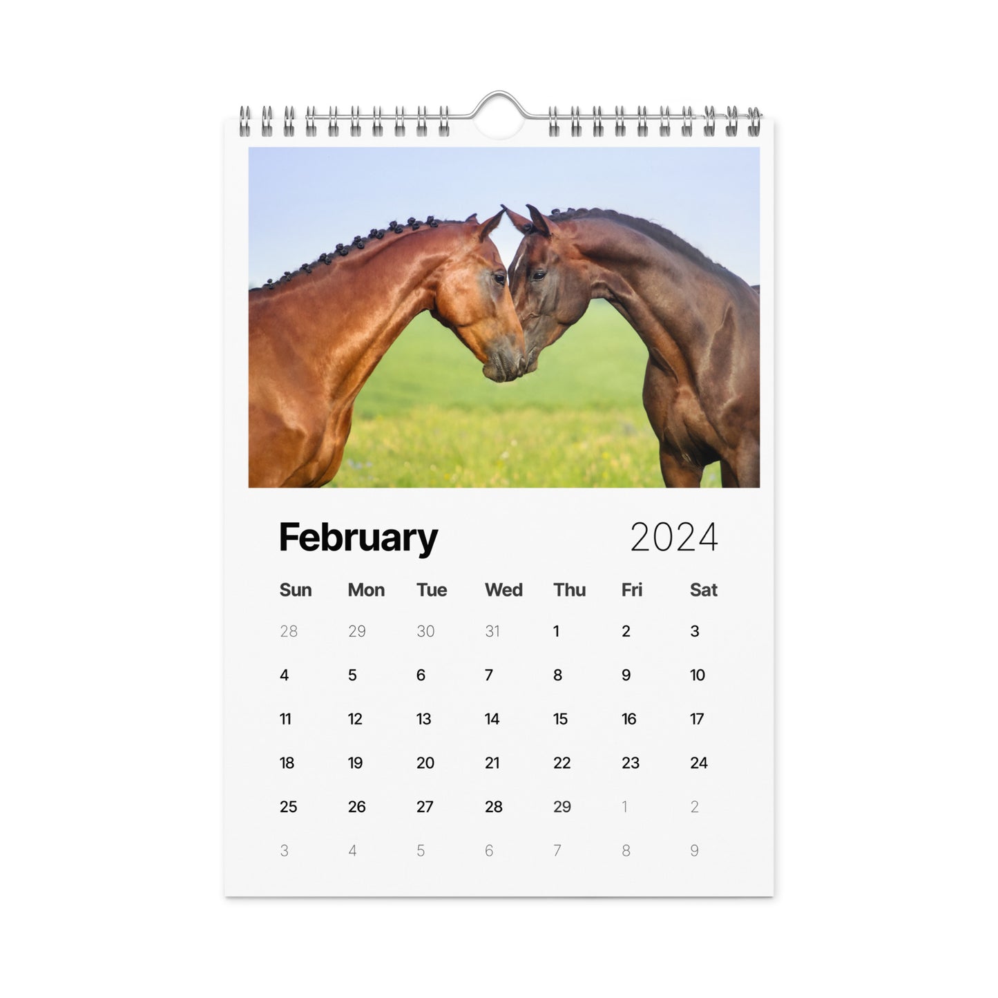 Beautiful Horse Wall calendar (2024)