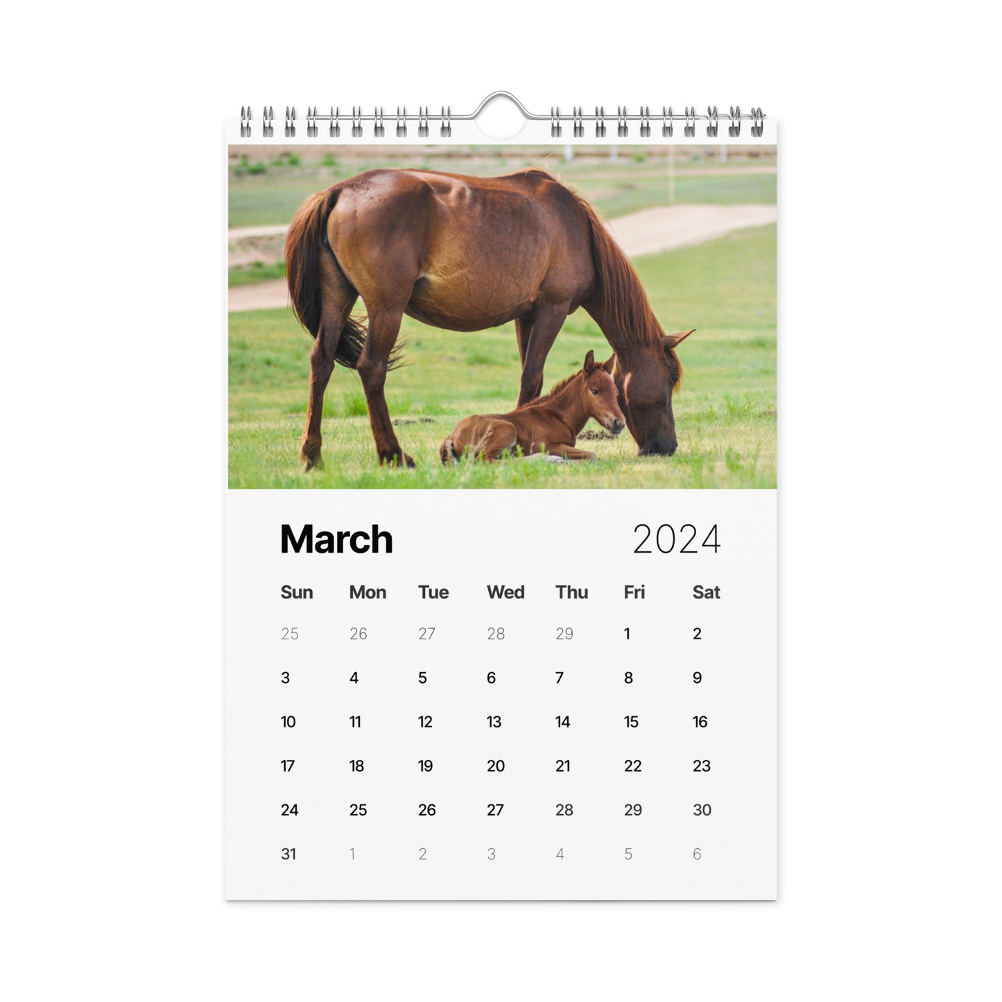 Beautiful Horse Wall calendar (2024)