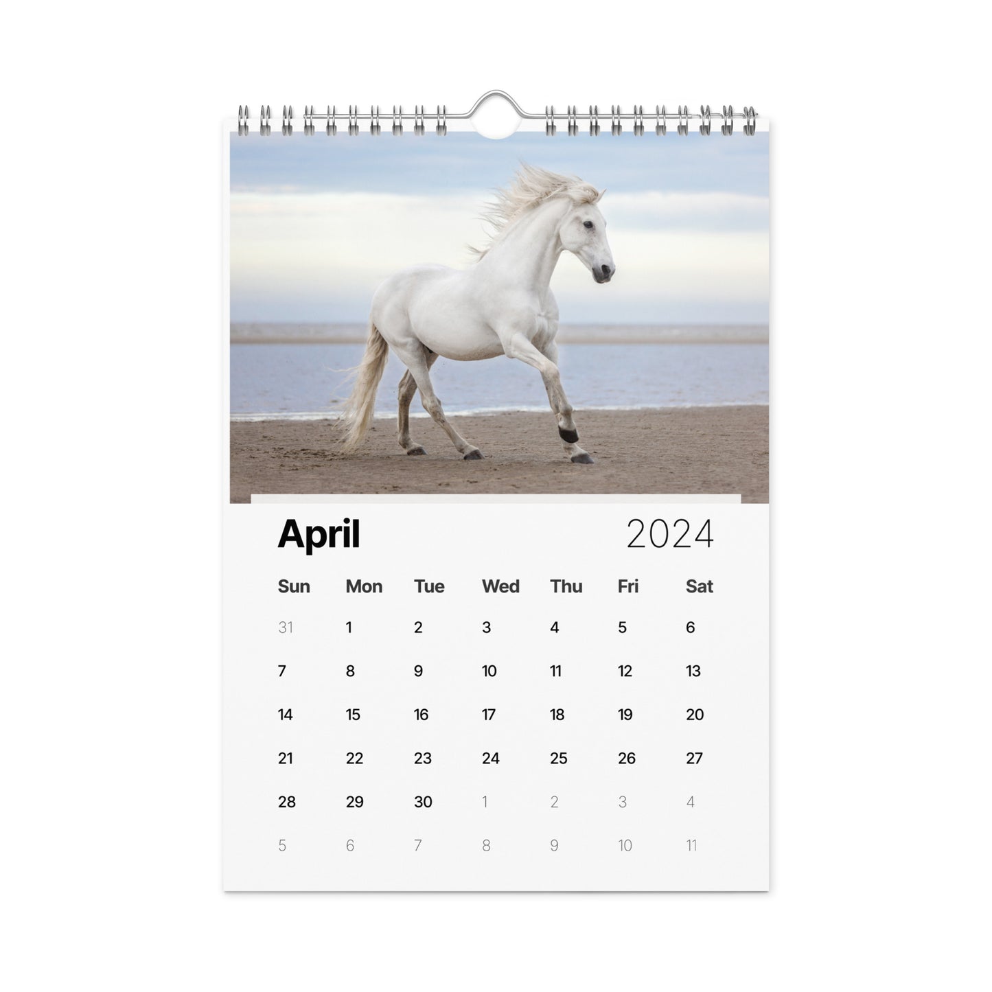 Beautiful Horse Wall calendar (2024)