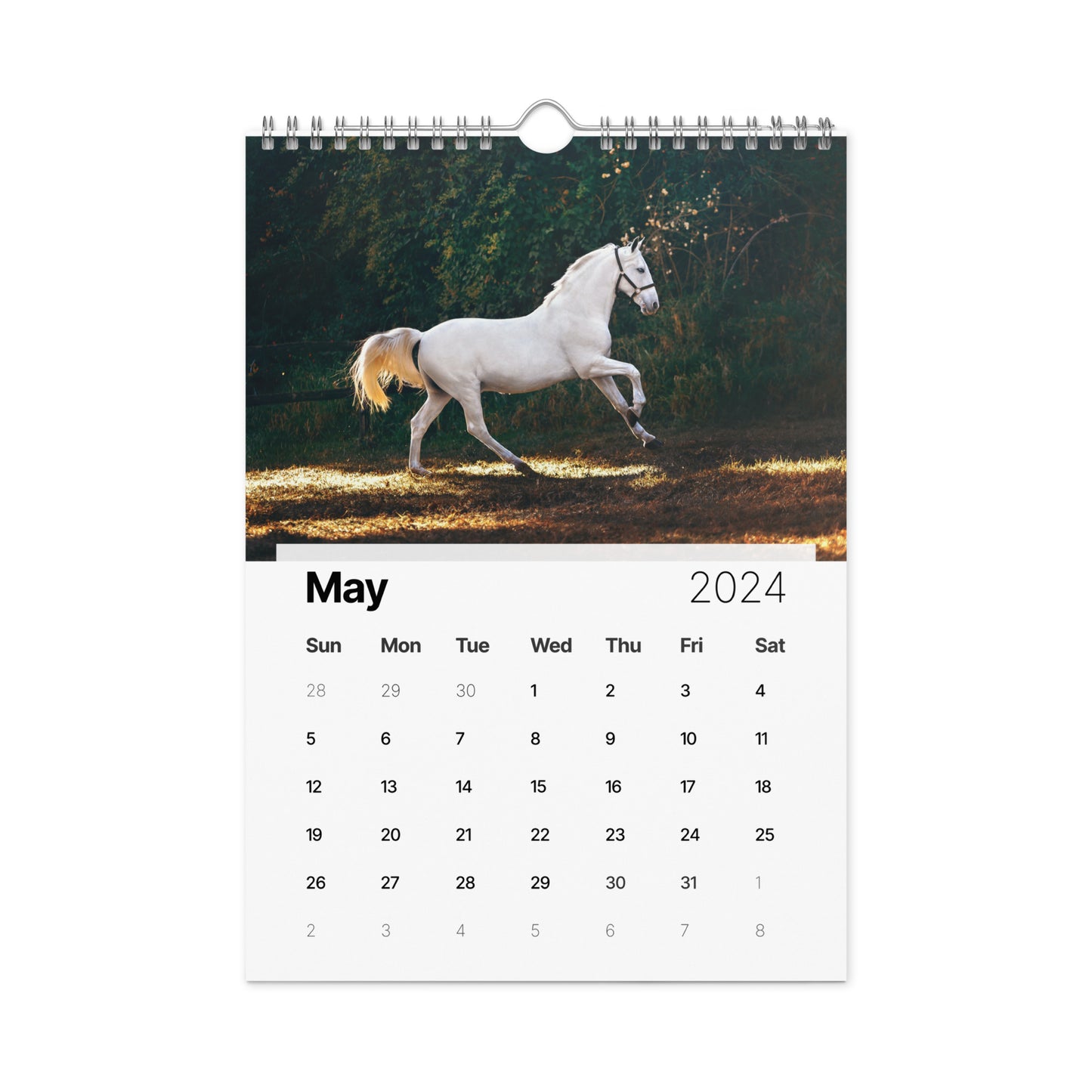 Beautiful Horse Wall calendar (2024)