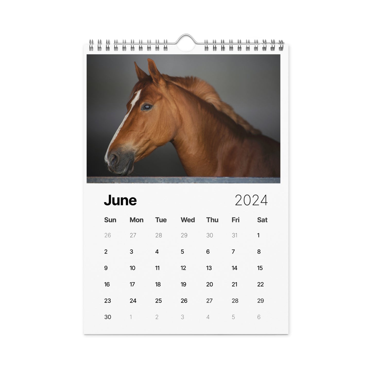 Beautiful Horse Wall calendar (2024)