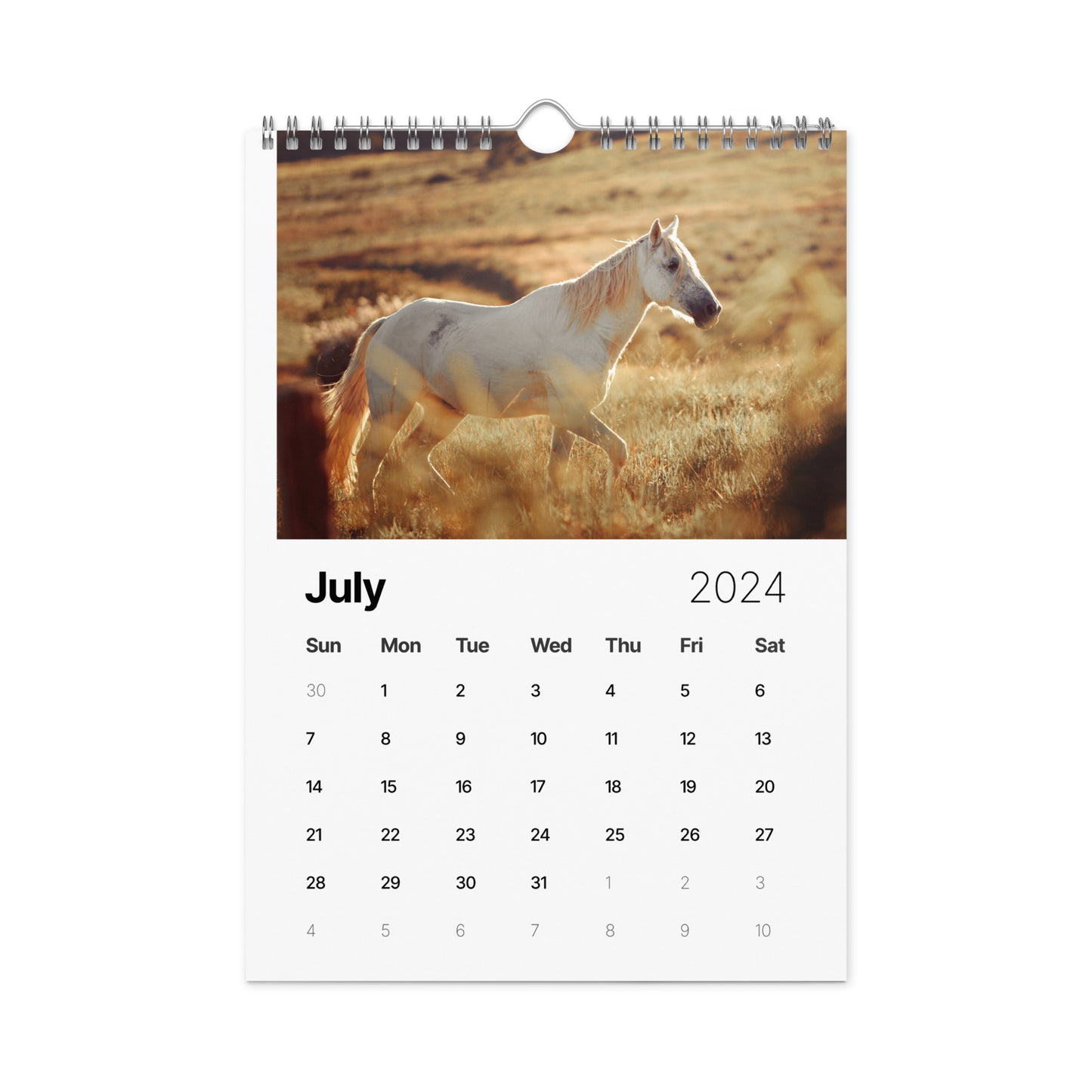 Beautiful Horse Wall calendar (2024)