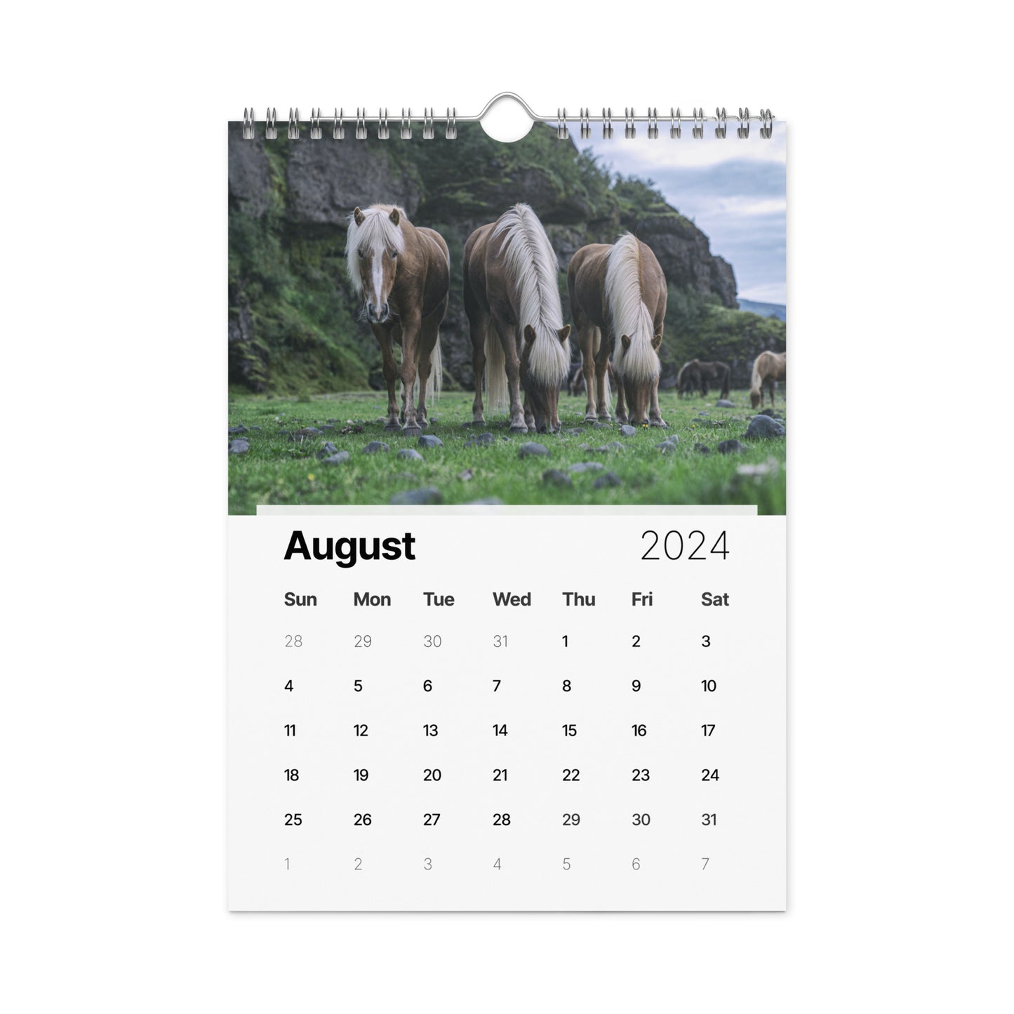 Beautiful Horse Wall calendar (2024)