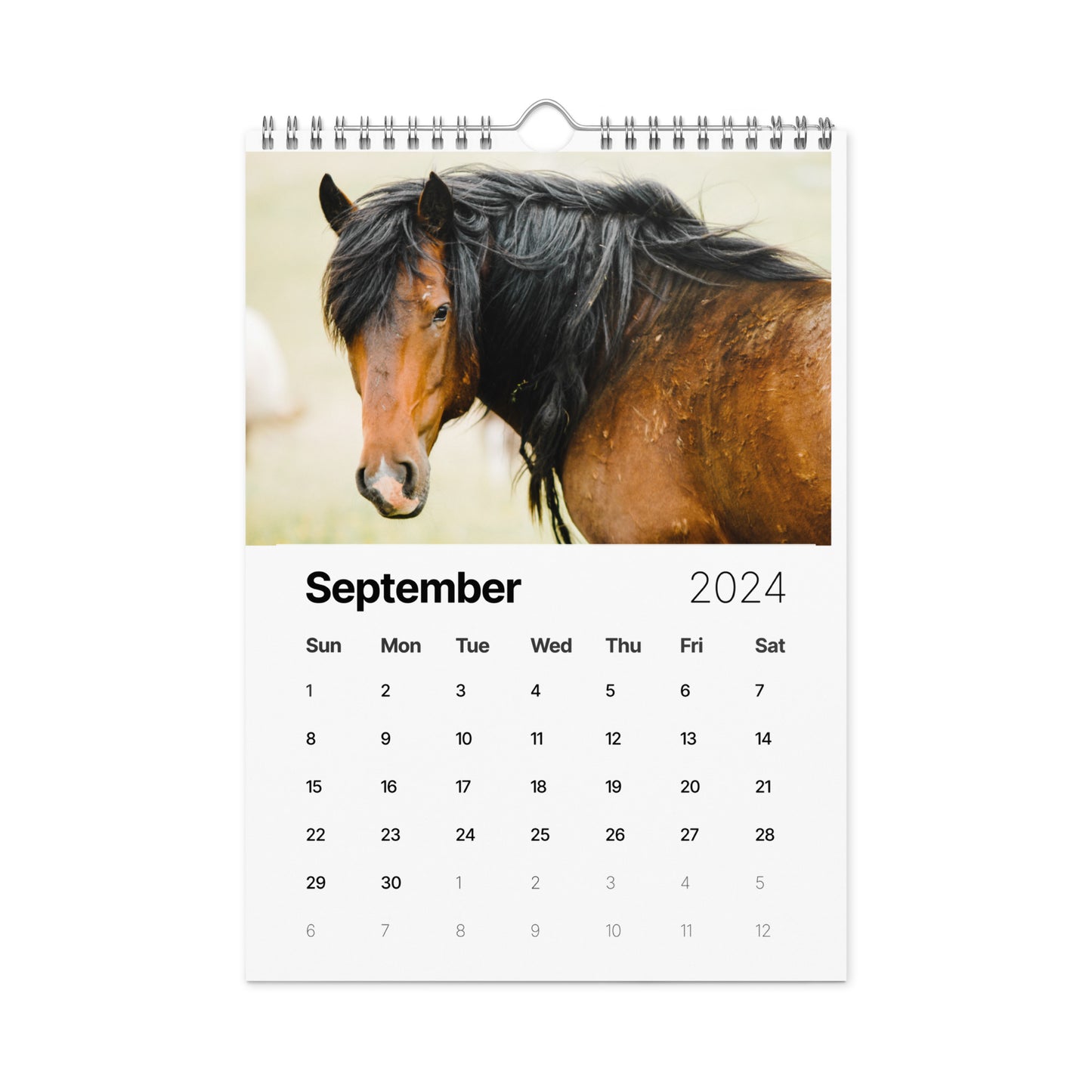 Beautiful Horse Wall calendar (2024)