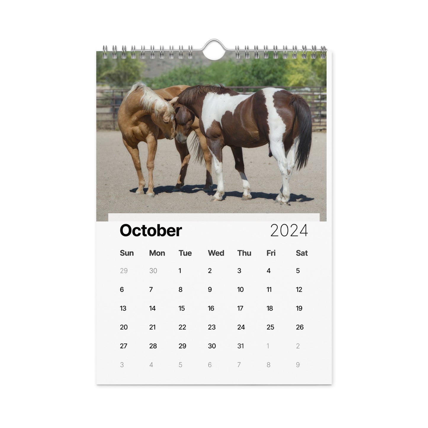 Beautiful Horse Wall calendar (2024)