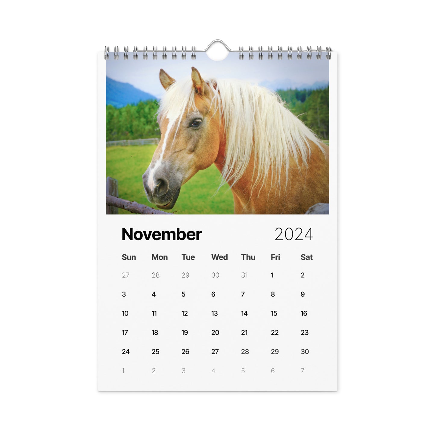 Beautiful Horse Wall calendar (2024)